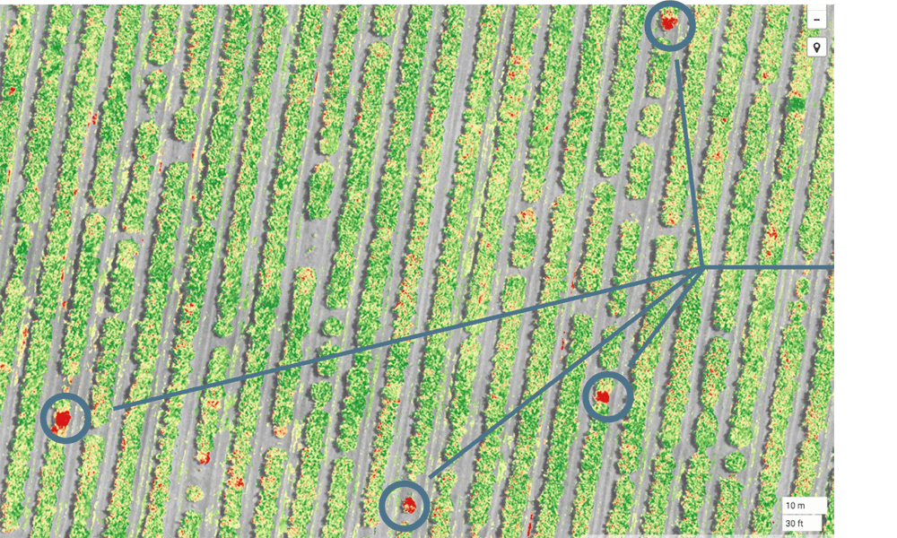 Drone application in agriculture